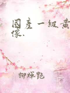 国产一级黄色录像.