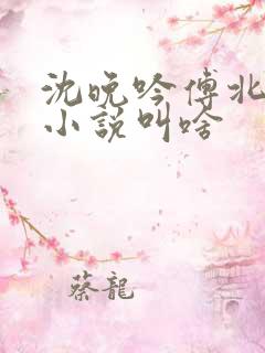 沈晚吟傅北峥的小说叫啥