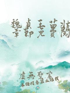 魏贞王苗壮最新章节免费阅读