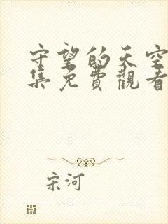 守望的天空30集免费观看全集