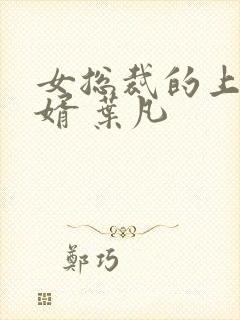 女总裁的上门女婿 叶凡