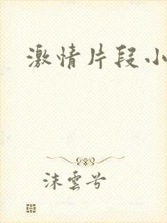激情片段小说