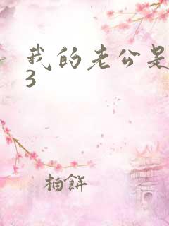 我的老公是冥王3