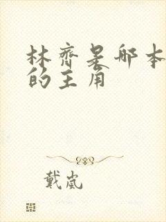 林齐是哪本小说的主角
