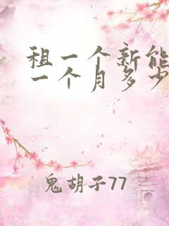 租一个新能源车一个月多少钱