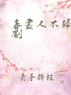春尽人不归 短剧