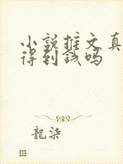 小说推文真的赚得到钱吗