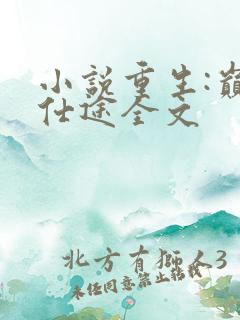 小说重生:巅峰仕途全文
