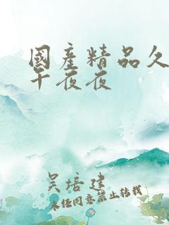 国产精品久久久午夜夜