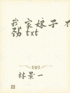 我家娘子 不对劲 txt