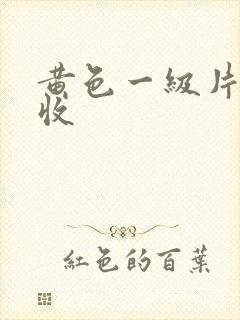 黄色一级片白度收