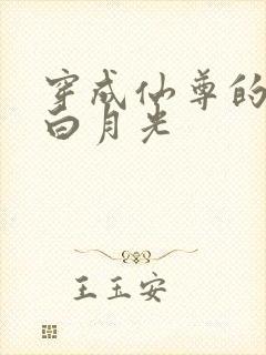 穿成仙尊的早死白月光
