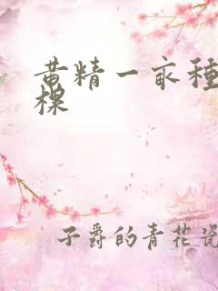 黄精一亩种多少棵