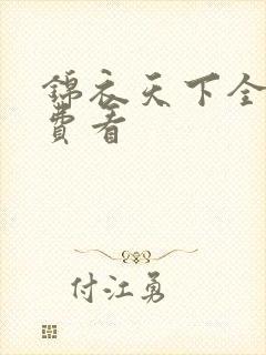 锦衣天下全集免费看