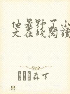他最野了小说全文在线阅读