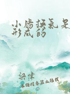 小肠换气是怎么形成的