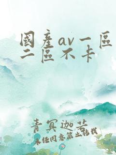 国产av一区,二区不卡