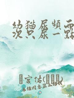 幼猫尿频而且每次只尿一点