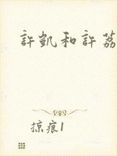 许凯和许荔莎
