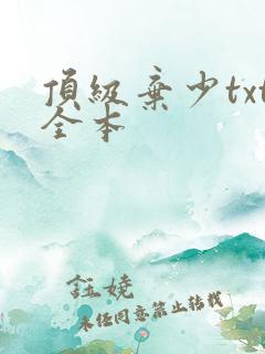 顶级弃少txt全本