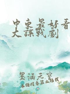 中东最好看的十大谍战剧