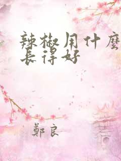 辣椒用什么肥料长得好