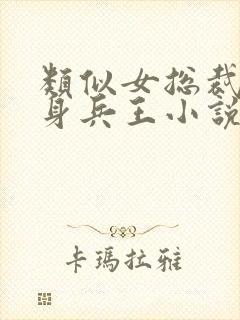 类似女总裁的贴身兵王小说