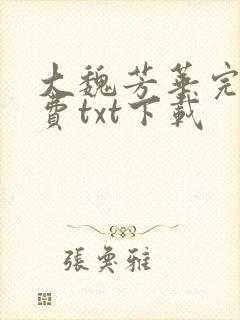 大魏芳华完整免费txt下载