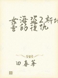 女海盗2斯塔尼蒂的复仇