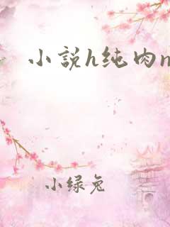 小说h纯肉np