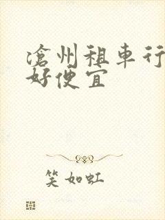 沧州租车行哪家好便宜