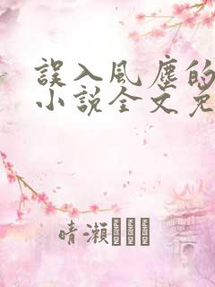 误入风尘的爱情小说全文免费阅读