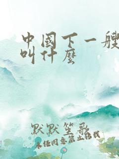 中国下一艘航母叫什么