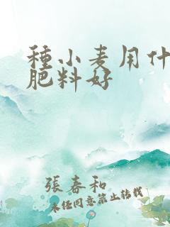 种小麦用什么底肥料好