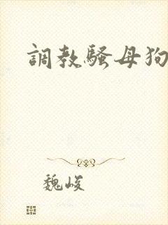调教骚母狗奴