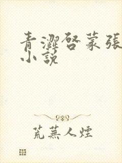 青涩启蒙张勇的小说