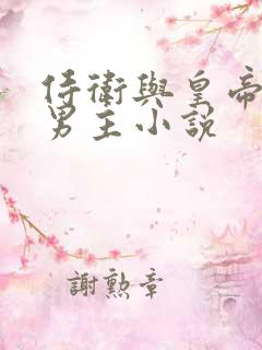 侍卫与皇帝的双男主小说