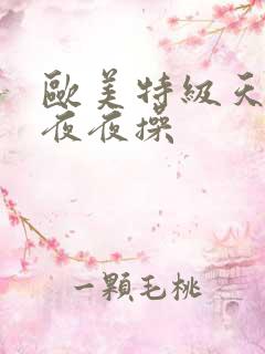 欧美特级天天操夜夜操