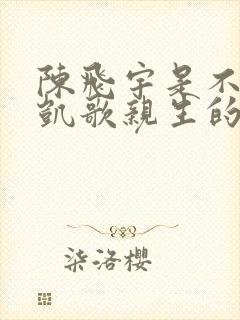 陈飞宇是不是陈凯歌亲生的