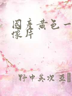 国产黄色一级录像片