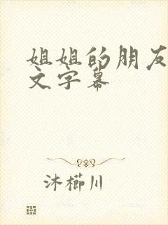 姐姐的朋友2中文字幕