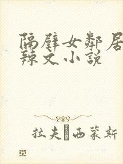 隔壁女邻居短篇辣文小说