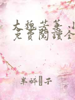 大魏芳华 小说免费阅读全文