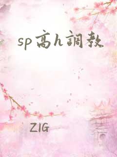 sp高h调教
