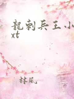 龙刺兵王小说txt