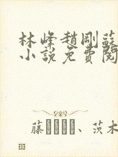 林峰赵刚苏柔的小说免费阅读