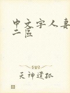 中文字人妻一区二区
