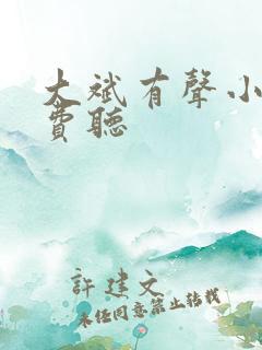 大斌有声小说免费听 大斌有声小说免费听