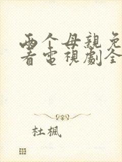 两个母亲免费观看电视剧全集