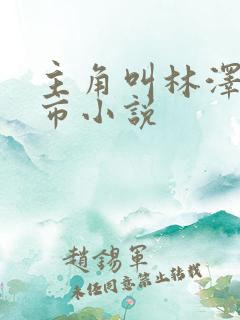 主角叫林泽的都市小说